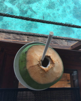Auf eine Kokosnuss in die Moodhu Bar