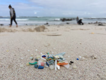 Mikroplastik clean up Aktion Südafrika