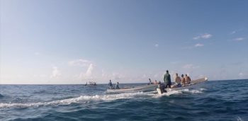 mit Delfinen schwimmen auf Sansibar