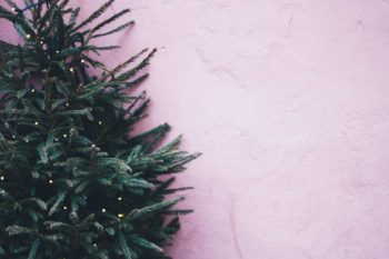 nachhaltiger Weihnachtsbaum